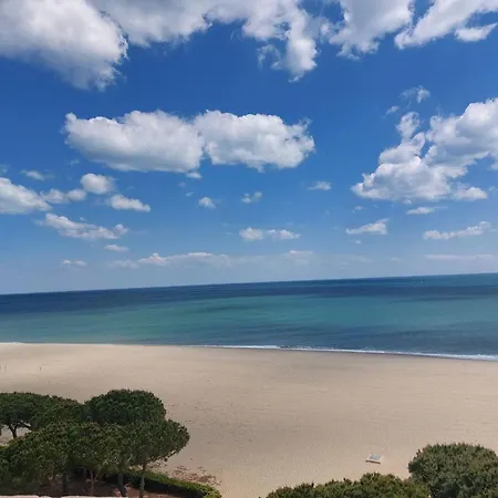 Apartment Duplex Renove 6 Pers Avec Piscine, Terrasse, Parking A 400m De La - Fr-1-776-17
