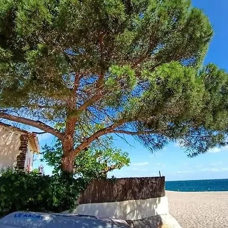 Duplex Renove 6 Pers Avec Piscine, Terrasse, Parking A 400m De La - Fr-1-776-17 Apartment